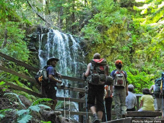 Berry Creek Falls