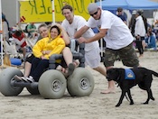 accessible-beaches-small