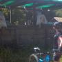 Not entirely clear what Alyse just said, but the horse at left doesn't seem to like it.