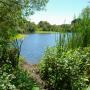 A path branches off from the main trail, opening up to a sweet view of Antonelli Pond on the Santa Cruz Westside.