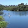Antonelli Pond, on the Westside of Santa Cruz, was the Land Trust's first conservation project. It's now enjoyed as a dog-walking, fishing and even SUP destination. Photo courtesy Land Trust.