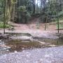 One upside of the drought: Aptos Creek was easily crossed on Feb. 2. Hilltromper photo.