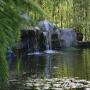 Waterfalls and a pond await at Bamboo Giant, 38 acres of landscaped bamboo nursery on Freedom Boulevard. Bamboo Giant photo.