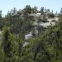 Bonny Doon Ecological Reserve, home to rare Santa Cruz Sandhills habitat. Dylan Neubauer photo.