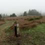 The ridgeline intersection of Brook Trail and Towne Fire Road.