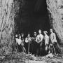 The charter members of the Sempervirens Club at the park. Photo courtesy Sempervirens Fund.