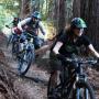 It's a singletrack smorgasbord this year at the Festival, which is just 1.5 miles from a serious network of trails.