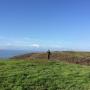 This is a frequent sight at Coast Dairies, a scenic swath of coastal hills and redwood canyons between Wilder Ranch and Swanton Road.