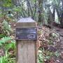On the west side of Aptos Creek, the Old Growth Loop heads in either direction. We went right first. Hilltromper photo.