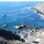 A view of the South Cove from the top of the trail.