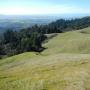  The view west from La Honda Creek Open Space Preserve.