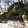 Cave of mystery near  La Honda Creek Open Space Preserve.