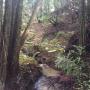 Liddell Creek East Branch, humbled by drought.