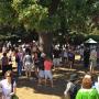 The first Mole and Mariachis Festival offered some tasty family fun at the Santa Cruz Mission.