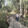 Dare you to get on the boardwalk to the Monarch Grove and not groove on nature. Photo credit: Hilltromper.