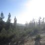 Looking west from Ocean View Summit in Big Basin State Park. Photo by Hilltromper.