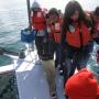 Fifth graders from Watsonville's Ann Soldo Elementary School help O'Neill Sea Odyssey instructor Celia Lara collect a seawater sample for examination. All photos by Hilltromper.