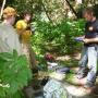 Biologists Paul Houghtaling (center) and Chris Fust (right) prepare to assess a sedated puma, muzzled and covered in mylar at bottom. Photo courtesy Troy Collinsworth.