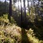 Trail eye view. Photo by Malone Ahern