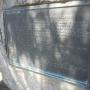 A plaque commemorates the Portola Expedition's "discovery" of redwoods at Pinto Lake.