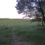 Prairie Trail splits off Brayshaw and heads for the open country. Photo credit: Hilltromper.