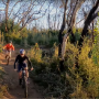Mountain biking at San Vicente Redwoods, from Save the Redwoods League YouTube video.