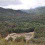 The view back up Carmel River's valley from a ridge bisecting the Carmel River and San Clemente Creek on Aug. 7, 2015.