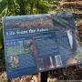 Interpretive sign commemorates the CZU Fire in 2020. Credit Land Trust of Santa Cruz County