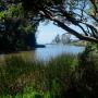 Surrounded by eucalyptus and oak, Schwan Lagoon is home to egrets, cormorants and a host of other birds. Eric Ressler photo.