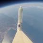 Yes, that's a young redwood tree in a plastic bottle. In space. (A screenshot from the first GoPro video of a sequoia sempervirens in the Mesosphere.)