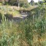 Stevens Creek restoration and park renovation in Cupertino. Courtesy ECI.