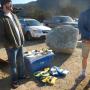 Jason Hackforth (left) of Superbiscuit talks up a bodysurfer.