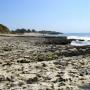 The view looking back towards Natural Bridges from the tide pools is deceptively empty of sea creatures. 