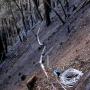 Jan. 2: Finally finished running replacement cable for the well signal line this morning. A hard haul across steep, ashy slope but it's done!