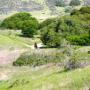 Wilder Ranch has 34 miles of hiking, biking and equestrian trails on 7,000 acres.