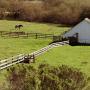 Wilder Ranch State Park, once a working dairy operation, is home to a visitors center and a Friends ParkStore. Dusty Nelson photo. 