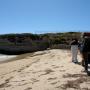 Our tour comes to a halt on the berm to observe the shorebirds. 