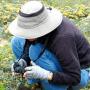 A botanist gets up close and personal with her quarry. Neal Kramer photo.