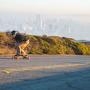 Yes, you can bomb uphill on a Boosted.