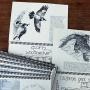 Leonie Sherman's handmade calendars give you the skinny on local flora and fauna.