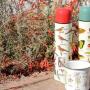 Cups and thermoses from Gift Republic are a guaranteed hit. Photo courtesy Miller Maxfield.