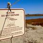 Snowy plover nesting areas are off-limits. Photo by Maria Grusauskas.