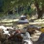 A sweet campsite above the Arroyo Seco River. Photo by Brooke Wright.