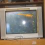 In the classroom, the seawater sample is shown on a screen. That's a brine shrimp -- better known to some as a "sea monkey."