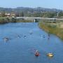 A flotilla of funsters on the Coastal Watershed Council's San Lorenzo River Paddle. Photo by Melissa Foley. 