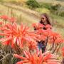 Wild aloe vera, an ingredient that perfumer Libby Patterson has had her eye on. She also uses non-botanical ingredients like horsehair and charcoal.
