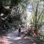 Most of the way to the falls, Skyline-to-the-Sea is open to bicycles. Hilltromper photo