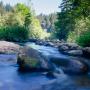 The mighty San Lorenzo River, home to several awesome swimming holes. Photo by Eric Ressler.