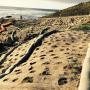 Erosion control on the San Vicente Creek project. Photo courtesy ECI.