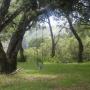 Just past Picnic Meadow, a perfect place for an after-lunch swing.